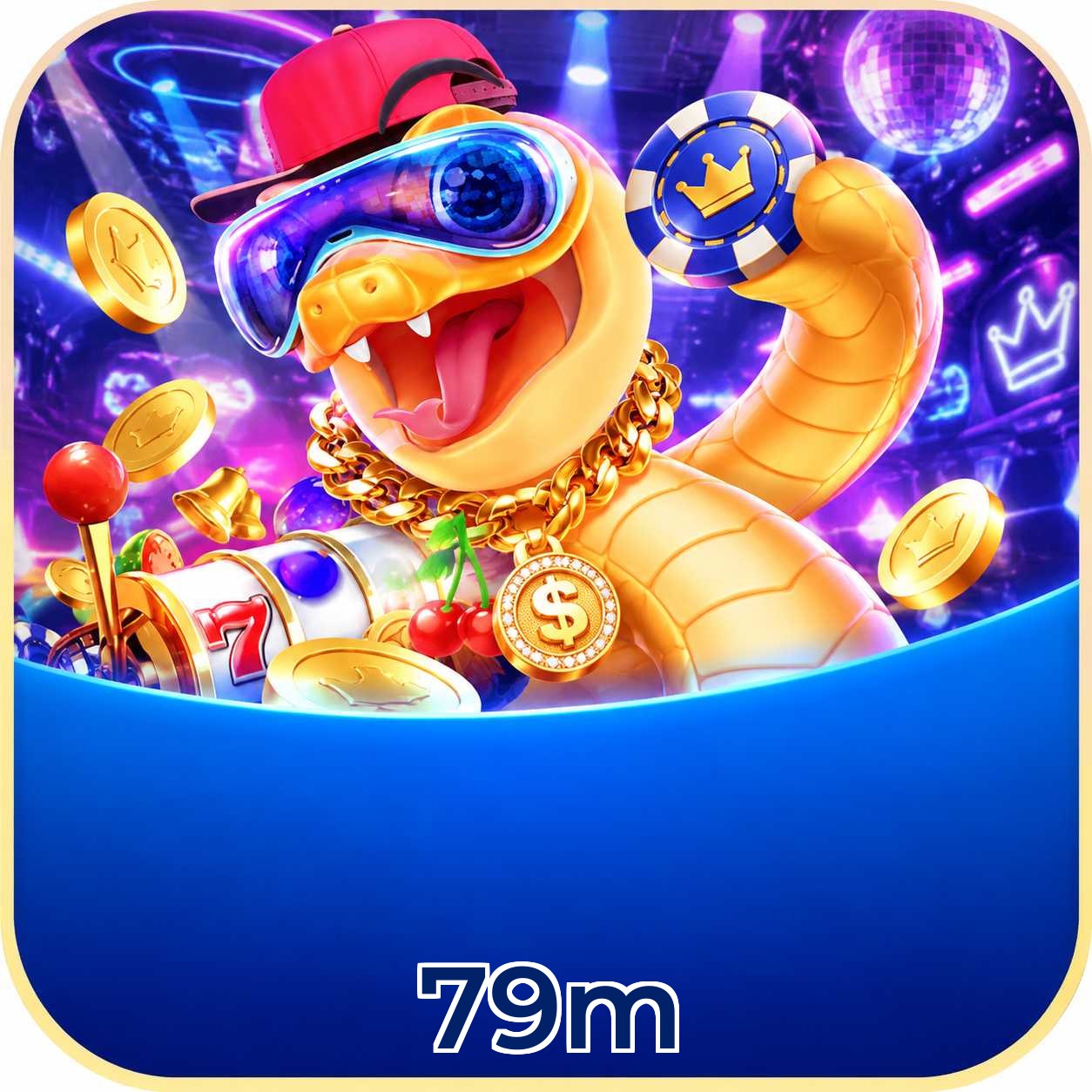79m VIP Program